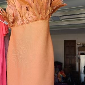 Fashion Nova Dress